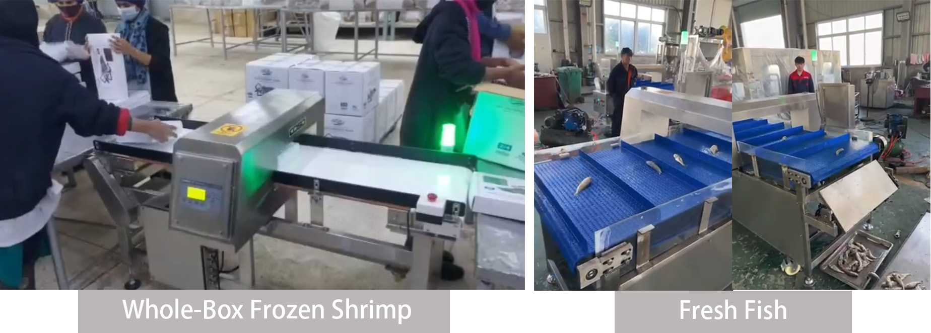 金检水产品 金检水产品