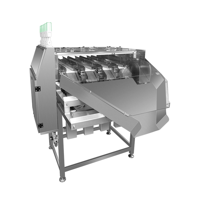 جهاز فحص الوزن متعدد المسارات