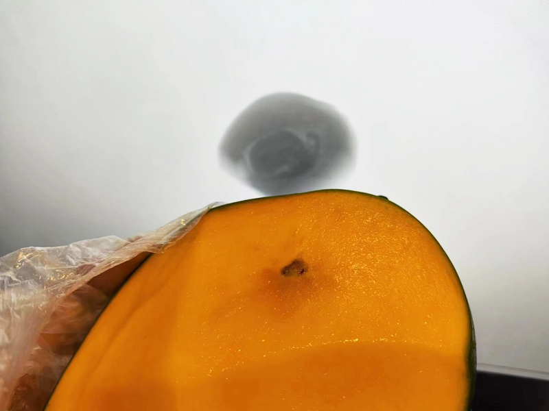 نظام فحص الأشعة السينية للمانجو