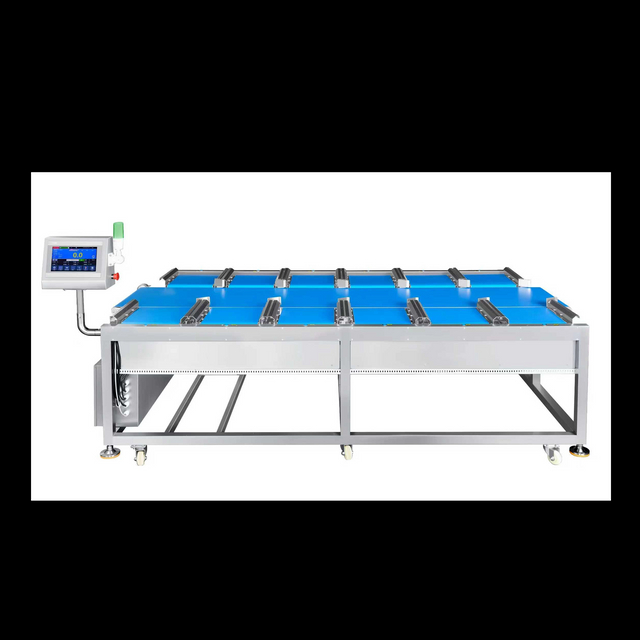 12-ميزان خطي ذو رأس لشريحة لحم الدوريان