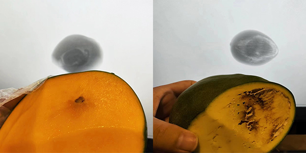 جهاز فحص بالأشعة السينية لتطبيقات مجال العظام