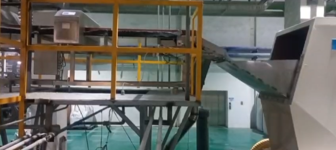 الصورة في الموقع